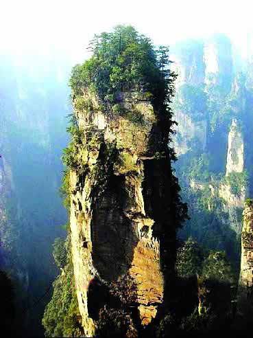 張家界國(guó)家地質(zhì)森林公園、黃石寨、金鞭溪休閑一日游
