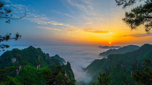 張家界森林公園（金鞭溪、袁家界、楊家界、天子山、十里畫廊）住山上2天1游（可看日出）